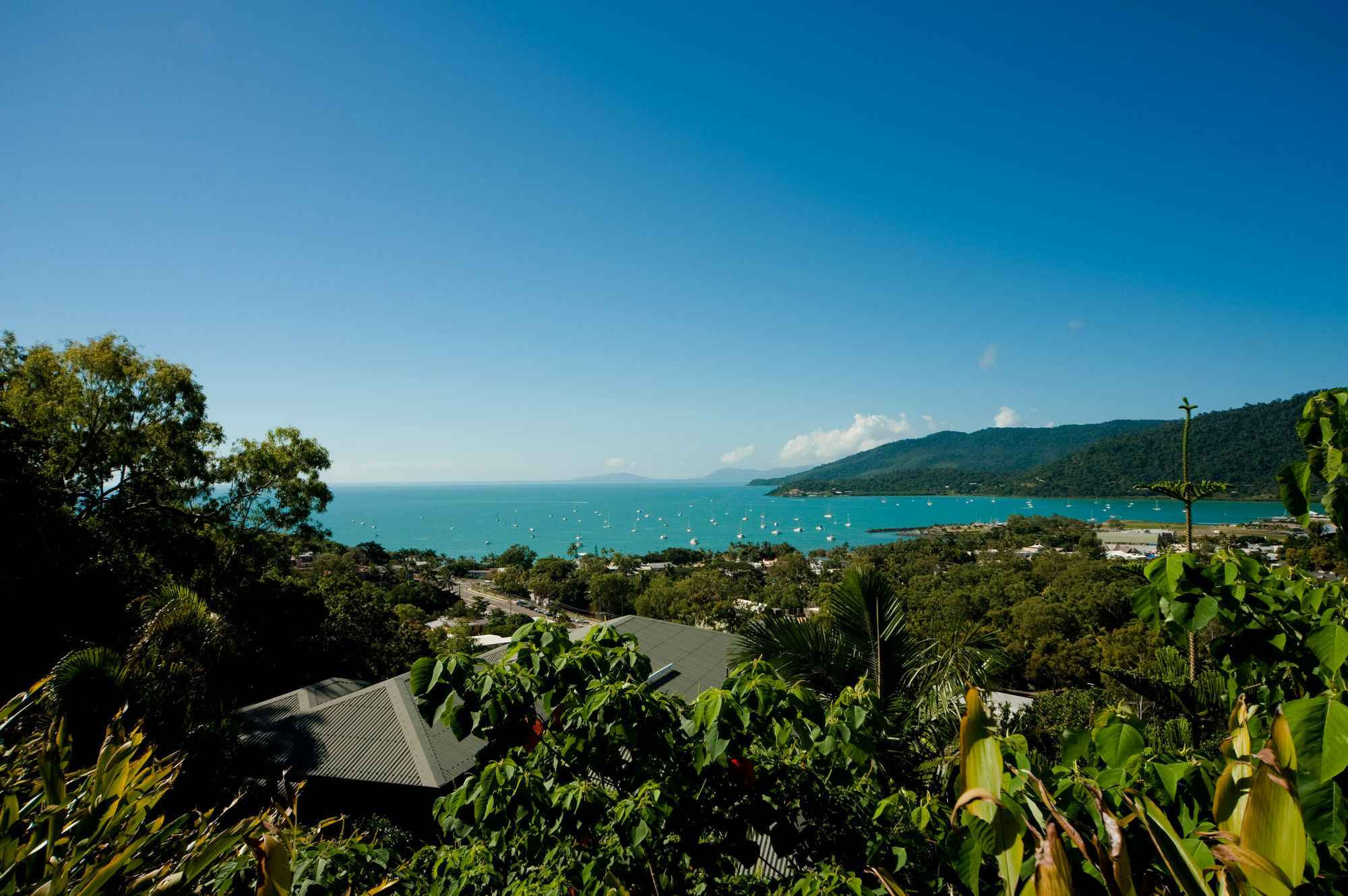 Sea Star Apartments Airlie Beach Bagian luar foto